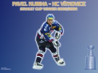 WallKubinaextra0200.jpg